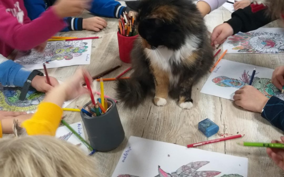Mūsų mažieji Katinų muziejuje